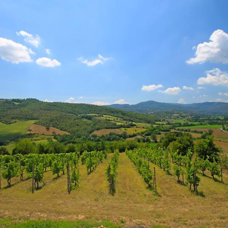 Holiday Home Montebello By Interhome Monterchi Εξωτερικό φωτογραφία